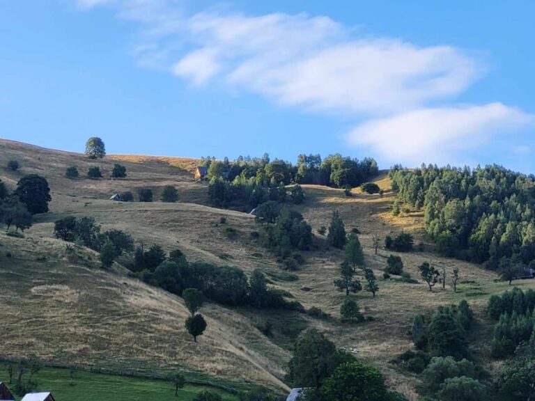 Sibiu: Cindrel Mountains Hike with Traditional Brunch - Detailed Breakdown of the Itinerary