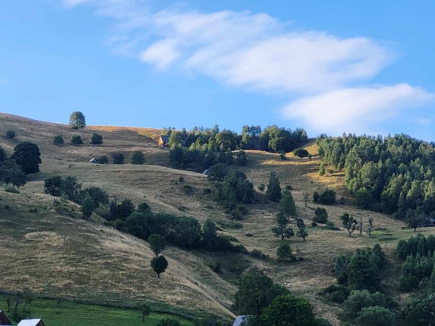 Sibiu: Cindrel Mountains Hike with Traditional Brunch - Detailed Breakdown of the Itinerary