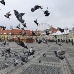 Sibiu City Tour - Private Day Trip from Bucharest - Exploring the Stops in Detail