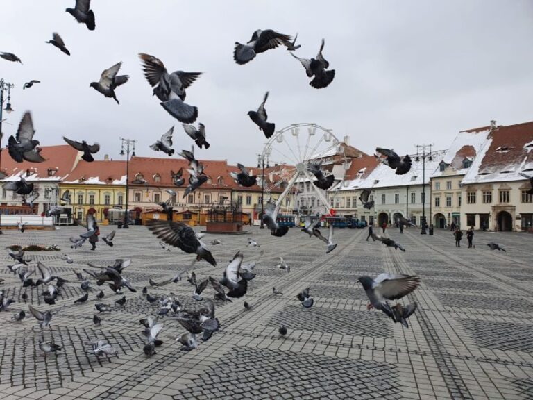 Sibiu City Tour - Private Day Trip from Bucharest - Exploring the Stops in Detail