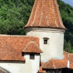 Sibiu: Dracula's Castle and Dino Park Day Trip - Scenic Drive and Mountain Viewpoints