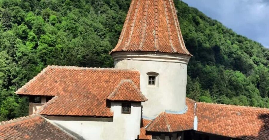 Sibiu: Dracula's Castle and Dino Park Day Trip - Scenic Drive and Mountain Viewpoints