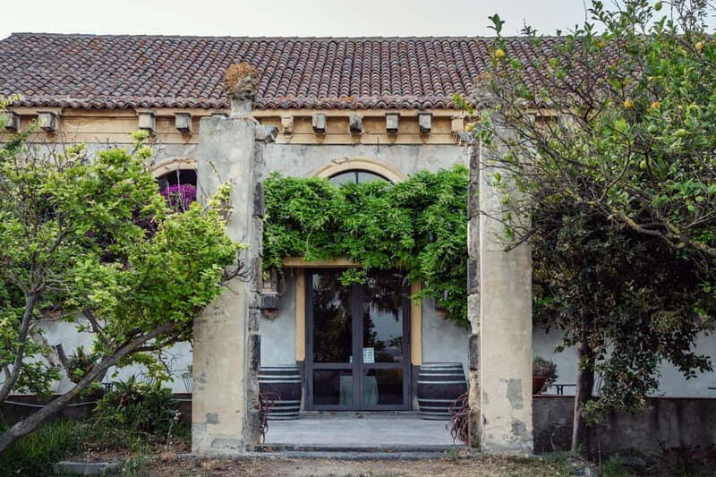 Sicilian Soul: Winery Tour, Wine & Food Tasting in Catania - Who Will Love This Tour?