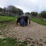 SICILIAN VILLAGES & RICOTTA PARTY departure from Cefalù area - Who Will Love This Tour?