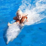 Side/Alanya: Swimming with Dolphins and Dolphin Show - Transport and Logistics