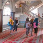 Side: Cabrio Bus and Boat Day Trip at the Green Lake - Practical Tips for Your Trip