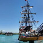 Side: Dolphin Boat Tour With Lunch Foam party Swimming - Practical Details and Tips