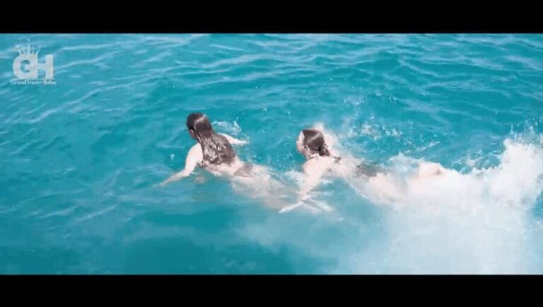 Side: Dolphin Island Boat Tour : A Seaside Adventure - Real Experiences and Honest Feedback