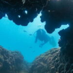 Side: Scuba Diving, Underwater Museum, 2 Dives incl. Lunch - What Makes This Tour Stand Out?