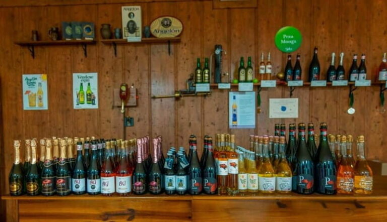 Sidra Vda. de Angelón: guided visit to a cider mill with tasting - FAQ