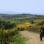 Siena: Half-day Guided Hike to Monteriggioni - The Experience: What You Can Expect