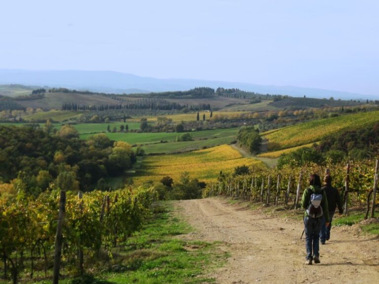 Siena: Half-day Guided Hike to Monteriggioni - The Experience: What You Can Expect