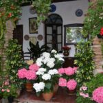 Sights, Sounds, and Scents of Córdoba's Patios - A Detailed Look at the Córdoba Patios Tour