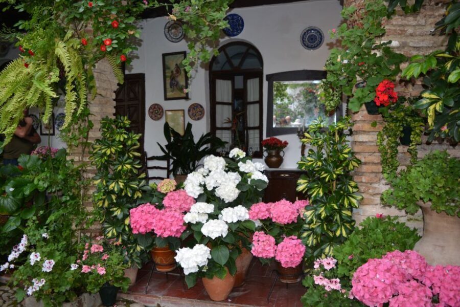 Sights, Sounds, and Scents of Córdoba's Patios - A Detailed Look at the Córdoba Patios Tour