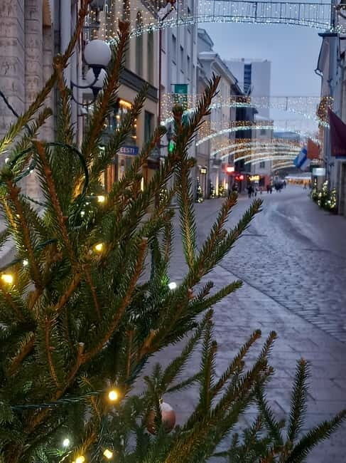 Sightseeing tour "Around Tallinn in 3 hours" - The Value of the Tour