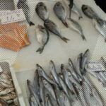 Signature Morning Walking Food Tour in Athens - What’s Included and What You Should Know