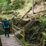 Sigulda Hiking Tour: A Day in the Switzerland of Latvia - What’s Included and What To Bring