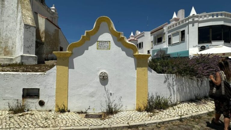 Sines and Porto Covo: discover Costa Vicentina with a local - What Makes This Tour Stand Out