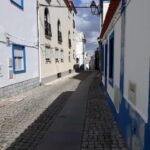 Sines: Tour of the historic center, museum & castle of Sines - Genuine Traveler Insights