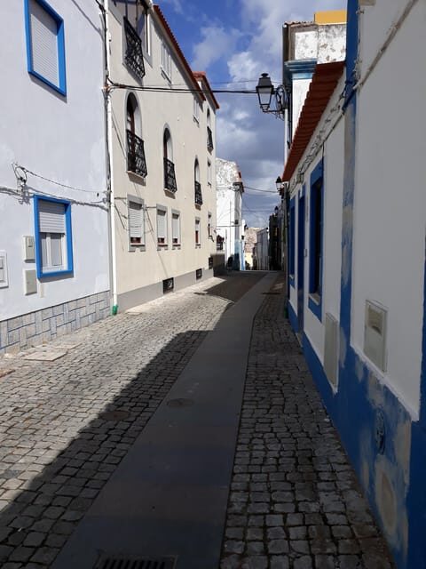 Sines: Tour of the historic center, museum & castle of Sines - Genuine Traveler Insights