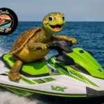 Single Jet Ski Ride with Pickup & Drop-off in Tenerife South - The Itinerary in Detail