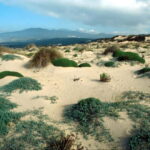 Sintra Cascais Top trekking - The Guides and Their Expertise