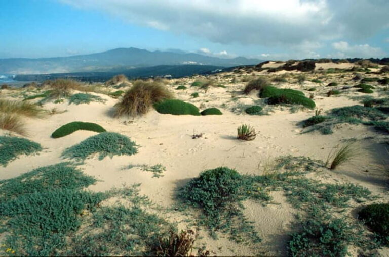 Sintra Cascais Top trekking - The Guides and Their Expertise