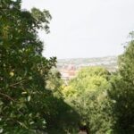 Sintra: Full Day guided tours by Van with Local guide - Who This Tour Suits Best