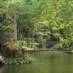 Sintra: Pena Palace Gardens & Chalet/Garden Condessa d'Edla - The Sum Up