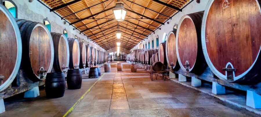 Sintra: Queluz Palace, Biester Palace, and Colares Winery - Things to Consider