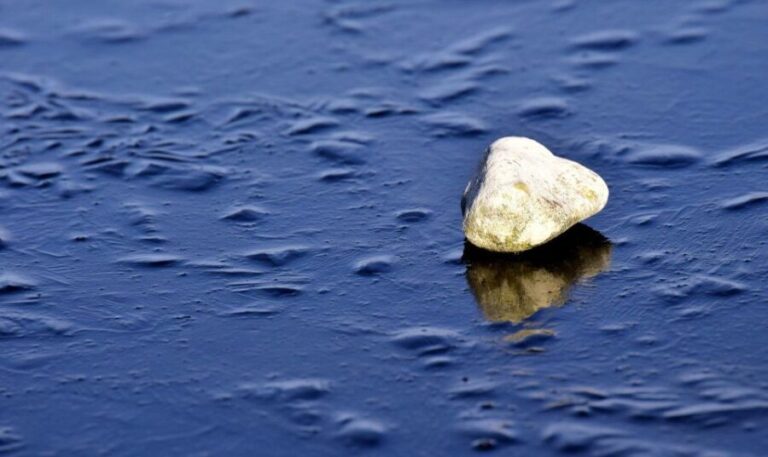 Sip & Savor: Ston and Peljesac Vineyards Extravaganza - Why This Tour Offers Great Value