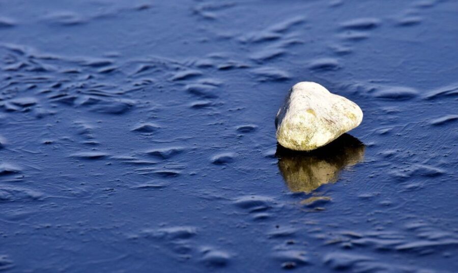 Sip & Savor: Ston and Peljesac Vineyards Extravaganza - Why This Tour Offers Great Value