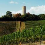 Sip Wine Along the Rhine - Grape Day out from Frankfurt - An Overview of the Rhine Valley Wine and Castle Tour