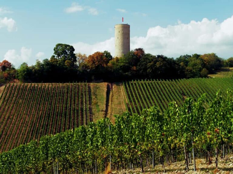 Sip Wine Along the Rhine - Grape Day out from Frankfurt - An Overview of the Rhine Valley Wine and Castle Tour