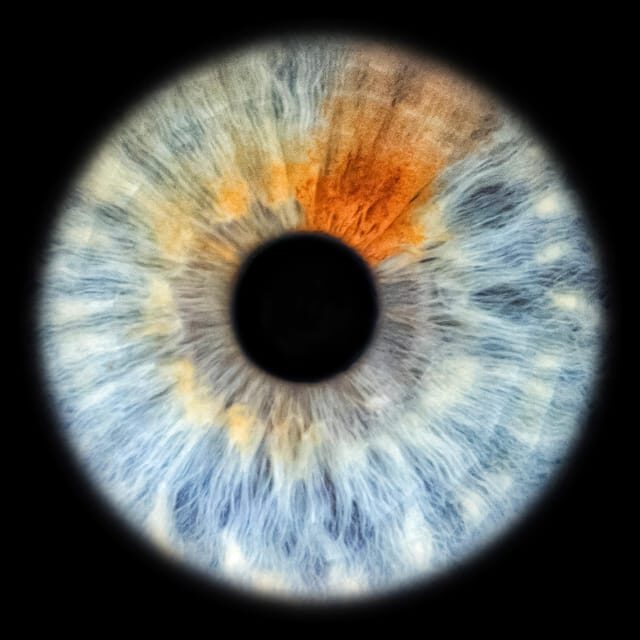 Siracusa Iris Photography Experience - Who Will Love This Experience?