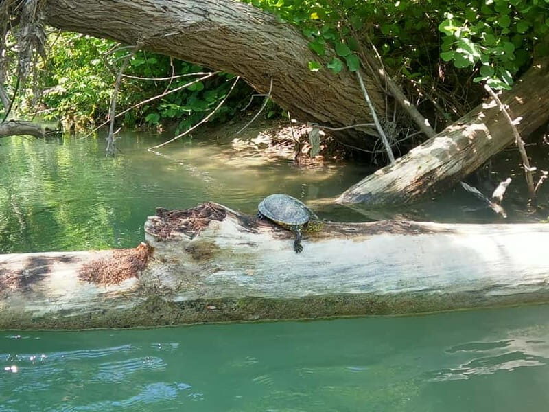 Sivota: Kayaking Adventure in the Acheron River, 13 km - What Reviewers Say