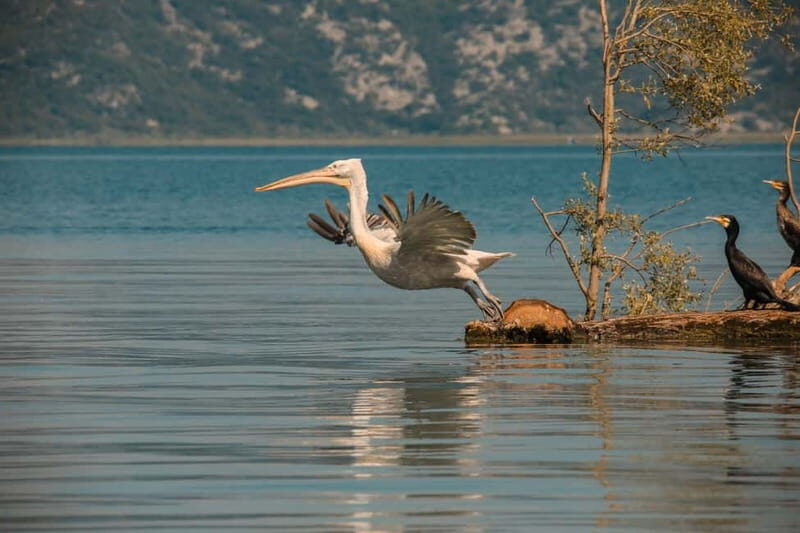 SKADAR LAKE: A national park with amazing flora and fauna! - Final Thoughts