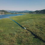 Skadar Lake: Explore the nature and national cuisine - In-Depth Breakdown of the Itinerary