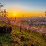 Skip-the-line Petrin Tower Prague Private Tour with Tickets - The Practicalities: What You Need to Know