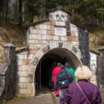 Skip-the-line Salt Mine Salzwelten Salzburg Private Car Tour - Who Should Consider This Tour?