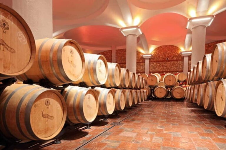 Skopje: Half-Day Stobi Wine Tour - In-Depth Review of the Stobi Wine Tour