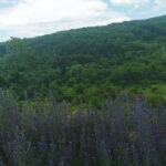 Skopje: Tetovo, Mavrovo, Galicnik, & John Bigorski Day Trip - The Return Journey and Final Stops