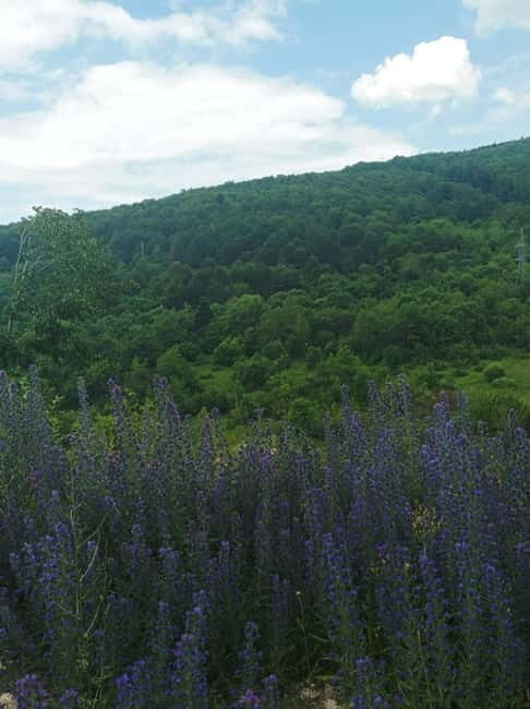 Skopje: Tetovo, Mavrovo, Galicnik, & John Bigorski Day Trip - The Return Journey and Final Stops