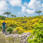 Skopje: Yugoslav Communist Tour on 2 wheels - Frequently Asked Questions