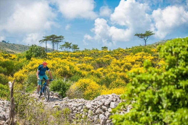 Skopje: Yugoslav Communist Tour on 2 wheels - Frequently Asked Questions