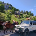 Skywalk (1228 m) and St. George (1762 m) Eco Tour - Why This Tour Offers Great Value