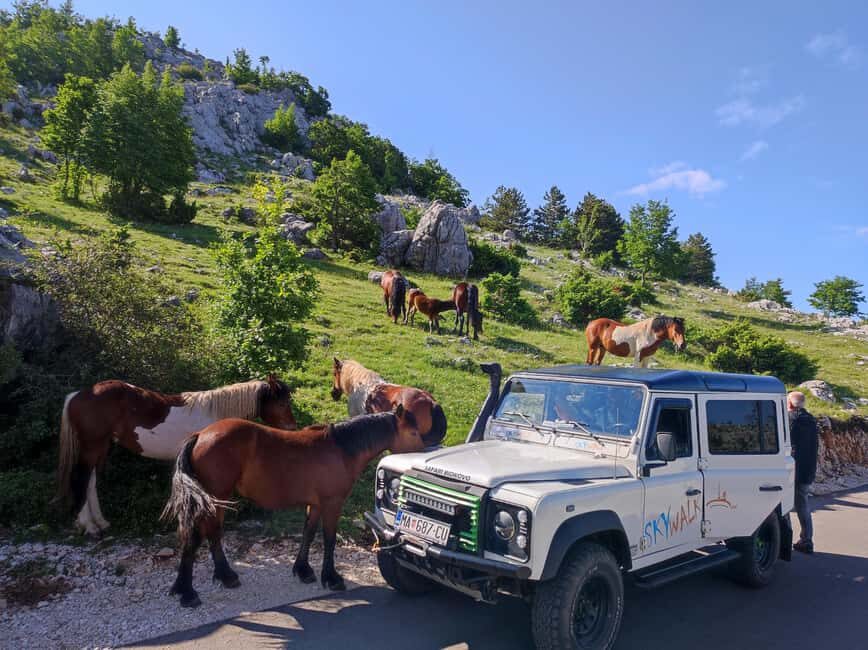 Skywalk (1228 m) and St. George (1762 m) Eco Tour - Why This Tour Offers Great Value