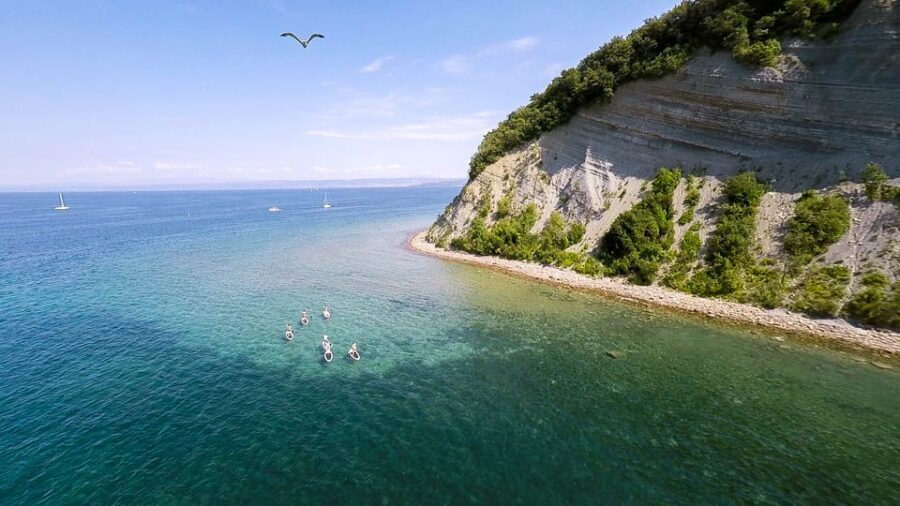 Slovene Littoral: Slovenia Coast Stand-Up Paddleboard Rental - The Value of the Experience