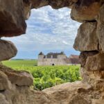 Small group Afternoon in Côte de Nuits - An In-Depth Look at the Côte de Nuits Tour