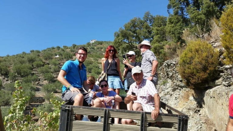 Small Group: Douro Valley Wine Tasting from Porto - Visiting Pinhão: The Heart of Port Wine
